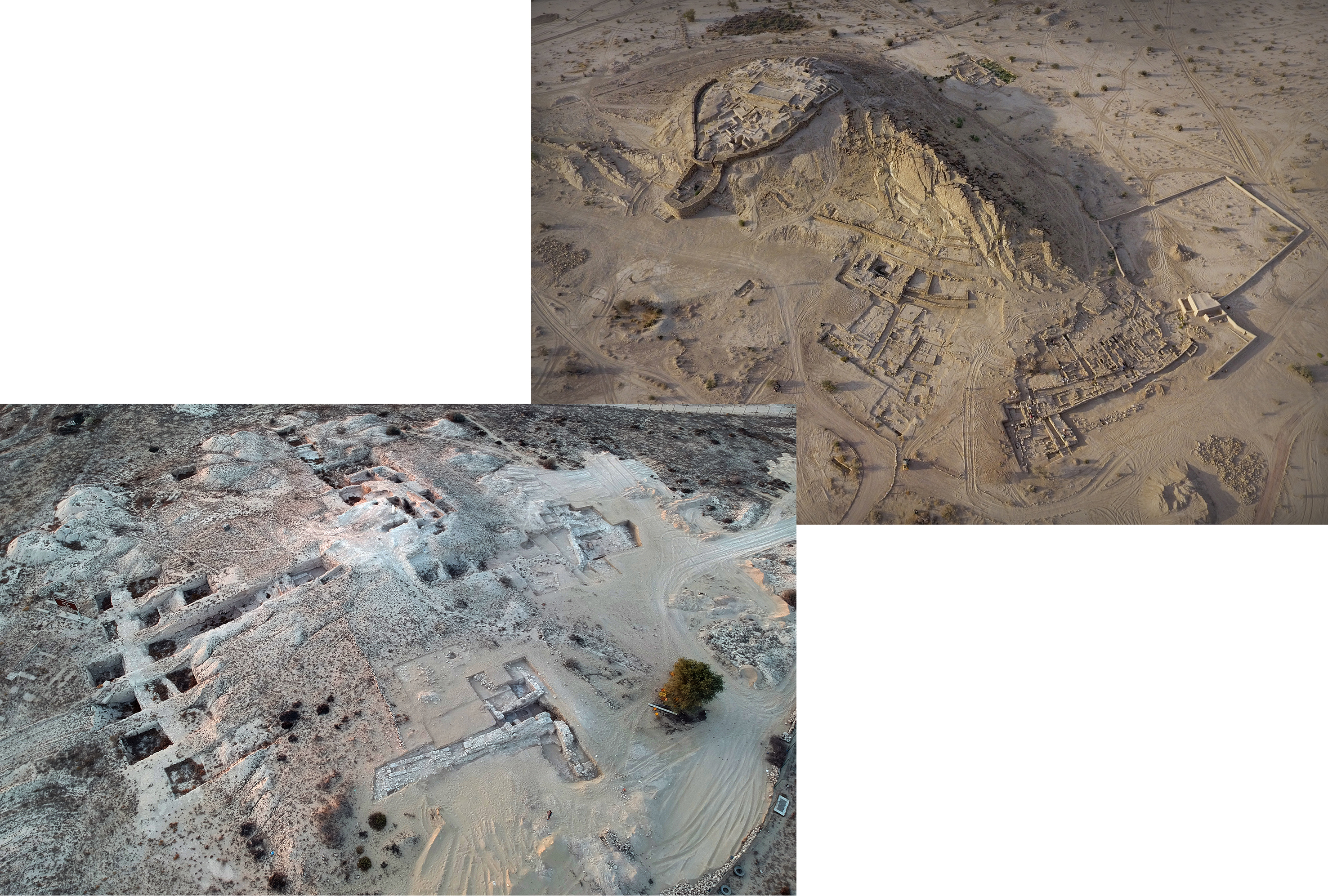 Degli Esposti seminarium